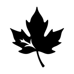 Black maple leaf vector image, autumn leaf illustration, fall season graphic, nature icon, canada symbol design element