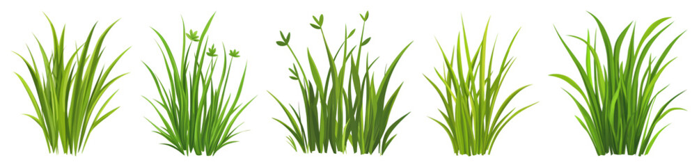Fototapeta premium PNG Vibrant green grass illustration, element set on transparent background