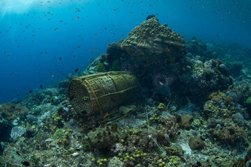 A traditional fish trap is found on a diverse coral reef in the Pantar Strait, near the island of Alor, Indonesia. This tropical region harbors spectacular marine biodiversity.