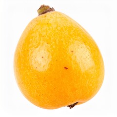 Loquats on Isolated White Background &ndash; Golden Orange Fruit with Smooth Skin and Natural Macro Detail