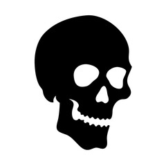 Skull vector graphic halloween death skeleton dead bone danger spooky horror scary skull design