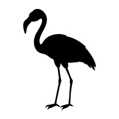 Flamingo silhouette vector illustration of tropical bird design element exotic wildlife art for print