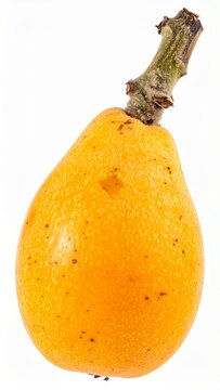 Loquats on Isolated White Background &ndash; Golden Orange Fruit with Smooth Skin and Natural Macro Detail