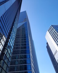 Towering, tall, blue skyscrapers reaching for the cloudless sky and reflecting it too. A beautiful...