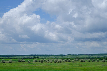 beautiful landscape under cloudy sky