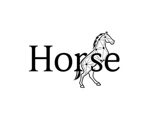 Abstract Geometric Horse Design Logo Illustration