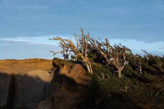 Scenic view of the Oregon Coast at Cape Kiwanda. 