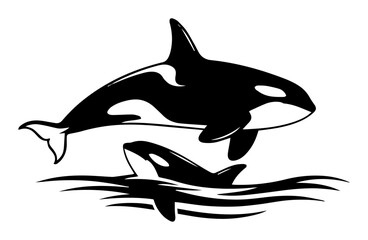 orcas swimming in ocean black vector shape © Camel