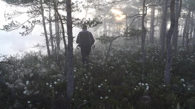 the man is walking through a blooming forest