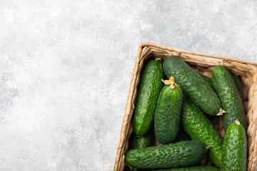 Cucumber on wooden background. Slice of cucumber on background. Fresh organic green cucumbers gherkin. Vegan. Salad ingredient. Farm vegetables. Cut vegetables with knife. Space for text. Copy space