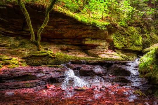 waterfall in the forest
