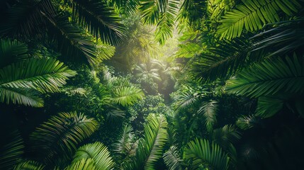 Fototapeta premium Deep rainforest canopy with filtered light and dense layered foliage high saturation greens natural complexity immersive vertical depth 