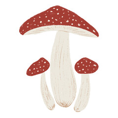 Chalk Fly Agaric Mushroom Cottagecore. Hand Drawn Crayon Texture Freehand Cartoon Amanita. Cottagecore Aesthetic Cute Forest Pencil Drawing Vector Illustration Isolated on Transparent Background 