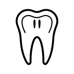 Human Teeth Anatomy Line Drawing