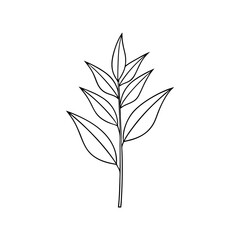 Grain Oat Plant Sketch Outline