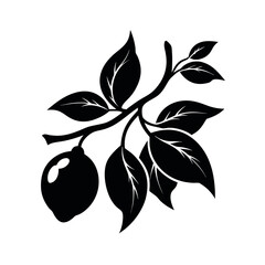Vintage Lemon Botanical Silhouette