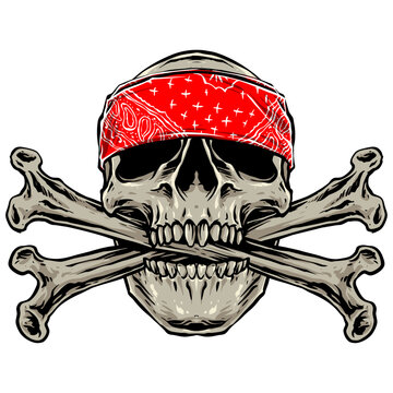 vector of bandana  skull with cross bone