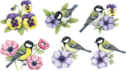 Spring birds and pink magnolia flowers illustration, hand painted nature design Watercolor floral cute songbird isolated