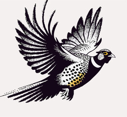 Obraz premium Flying Pheasant Bird Ink Drawing, Black and White Illustration