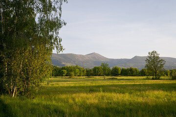 Sniezka Peak at Golden Hour - Karkonosze Landscape. Poland