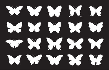 Set white outline butterfly and moths