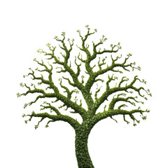 Obraz premium An intricate green tree flourishing against a dark endless night sky on transparent background