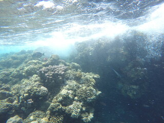 Fototapeta premium waves hitting the coral reef