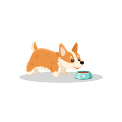 Cute cartoon corgi eating from bowl. Funny dog character Vector illustration
