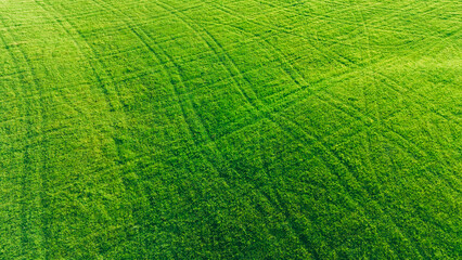 Green Agricultural Field Aerial View