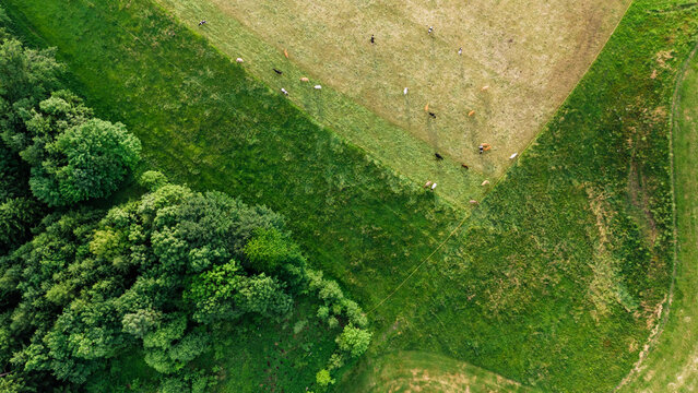 Forest Farmland Boundary Aerial View