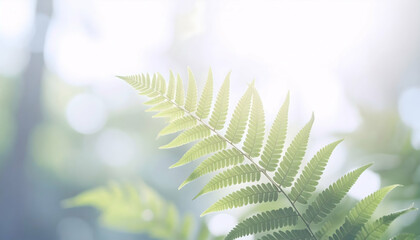 Closeup of a Vibrant Green Fern Leaf in Sunlight