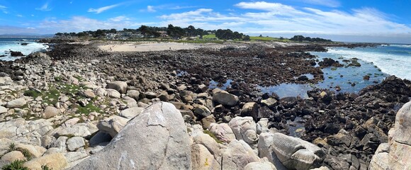 Low Tide Landscape of Pacific Grove Marine Gardens Park During December King Tides. Unidentified People Exploring Tide Pools in the Background. 