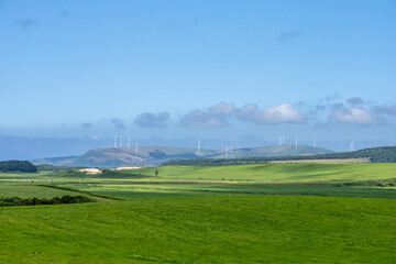 A pasture overlooking wind turbines