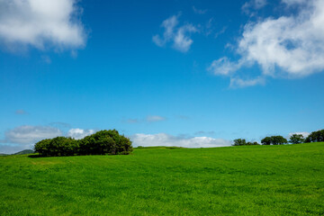 Obraz premium Blue sky and green hills
