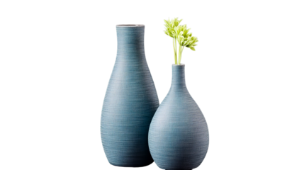 Two textured blue vases, fresh green flowers, indoor decor, cut out transparent