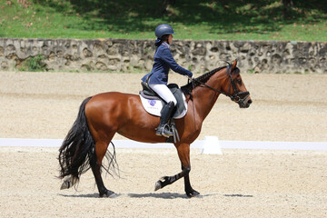 Rider Performing Dressage Test with Horse in Competition Arena