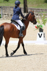 Rider Performing Dressage Test with Horse in Competition Arena