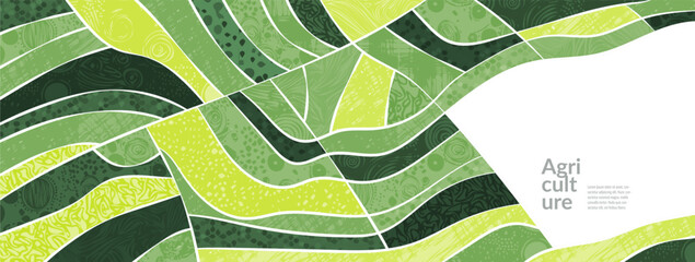Field and farm landscape with vineyard pattern, corn crop and vector background. Wine crop on hill land, wheat and soy plants. Organic countryside view above vineyard, rural valley, panorama in spring