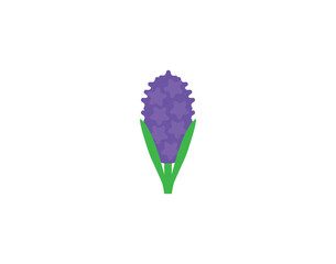 Hyacinth vector emoticon. Hyacinth emoji illustration. Color Hyacinth icon