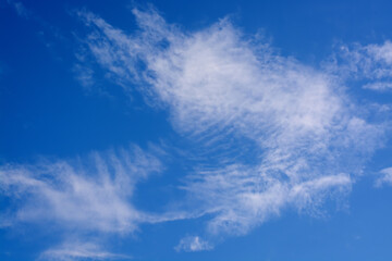 View of blue sky with white light cirrus clouds