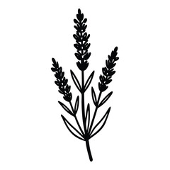 lavender sprig icon with small clustered flowers on a tall stem silhouette vector illustration on white background