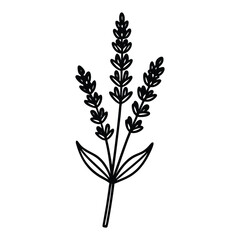 lavender sprig icon with small clustered flowers on a tall stem silhouette vector illustration on white background