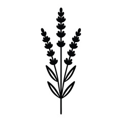 lavender sprig icon with small clustered flowers on a tall stem silhouette vector illustration on white background