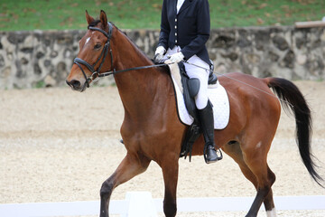 Rider Performing Dressage Test with Horse in Competition Arena