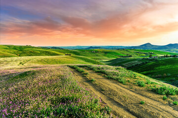 Obraz premium green flowering spring hills in rustic valley with rural road among blossoming grasslands leadung far away to a sunset cloudy sky above horizon