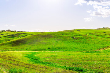 scenic view of beautiful rural landscape with green hills and fields with young grass and amazing cloudy sky on background