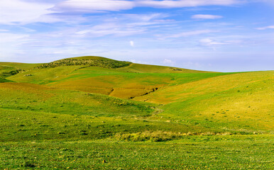 Fototapeta premium Countryside farm landscape of green field grassland in spring pr summer season with green fresh grass and beautiful sunset or sunrise cloudy sky on background