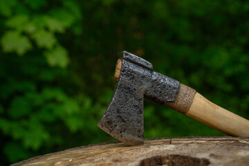 Finnish axe in the green forest.