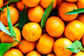 Fresh mandarin oranges fruit or tangerines with leaves, as background. Mandarins close up with leaves