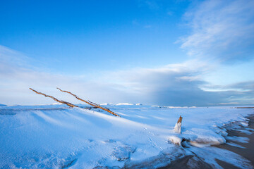 Icicles on snow. Guba Voronya, Barents Sea bay. Kola Peninsula landscape